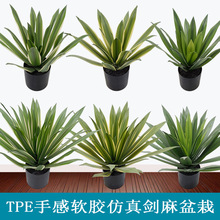 ��Ʒ�|�h���ָ�ܛ�z���愦�������m���m���ԚWʽ�辰�͏d�b[��