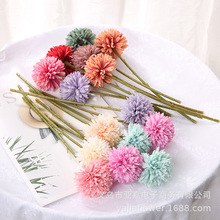 ^ѹӢС֦ СƹҾ ͏dDIY廨 bٻ