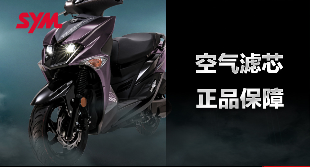 Original Genuine Sanyang Scooter Jet Sl150 Air Filter Accessories Air Filter Air Filter