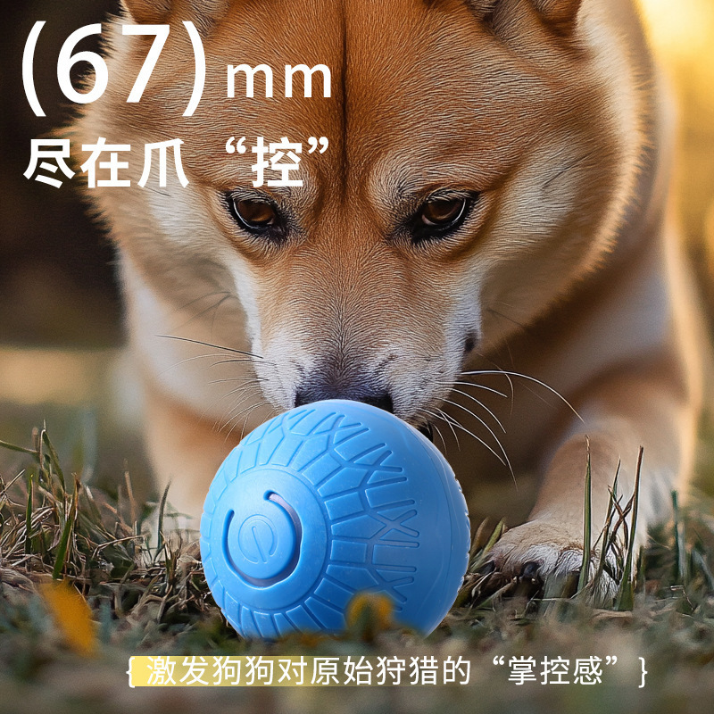 国境を越えて猫のボールをからかって犬のボールの重力を跳んでボールの犬のおもちゃを跳ぶことができます。|undefined