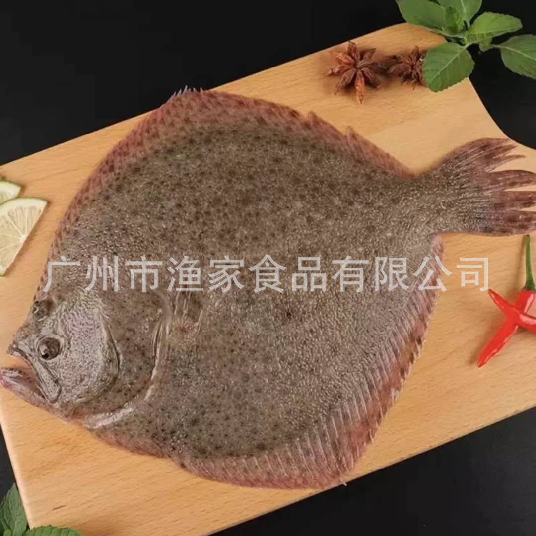 鲜冻多宝鱼400-600g/条 10kg/件比目鱼类 新鲜海鱼鲽鱼偏口鱼