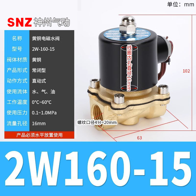 2W160-15 All Copper AC220V