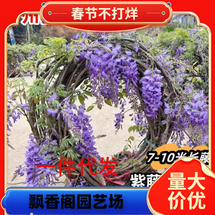 ���ٻ��玧�����Ϙ�����ֲ��������ꖻ����������ļ��_��ͥԺ����