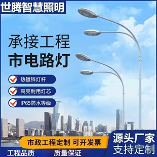 LED City Circuit Light Municipal High Pole High Brightness Outdoor Waterproof Street Light 6.8m 10m City Lighting Street Light Pole