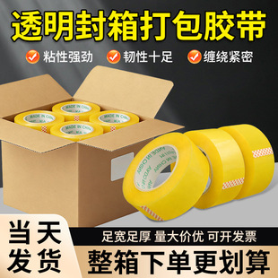 ͸���z��5���׌�����Ӻ��������z�����f����z������z6cm�z��