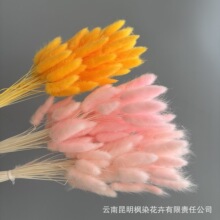 �羳��β�ݸɻ��������Ҿ��b��Ĳ�����߼�DIY���ins�L�p�����