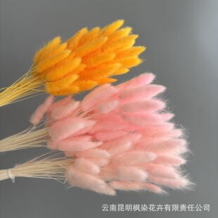 �羳��β�ݸɻ��������Ҿ��b��Ĳ�����߼�DIY���ins�L�p�����