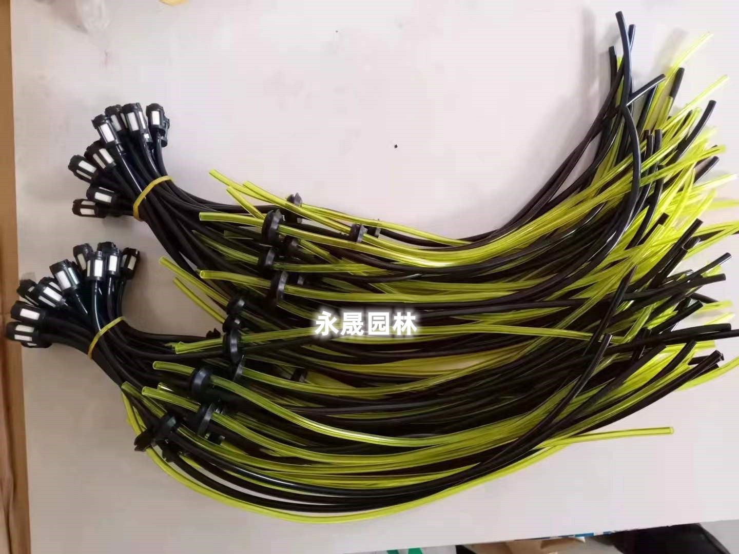 微信图片_20220531120719_副本