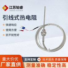 定制WZP引线式热电阻PT100热电阻三芯四氟线温度传感器测温探头