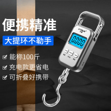 高精度手提电子秤家用买菜小型精准快递钓鱼行李秤充电便携称鱼器