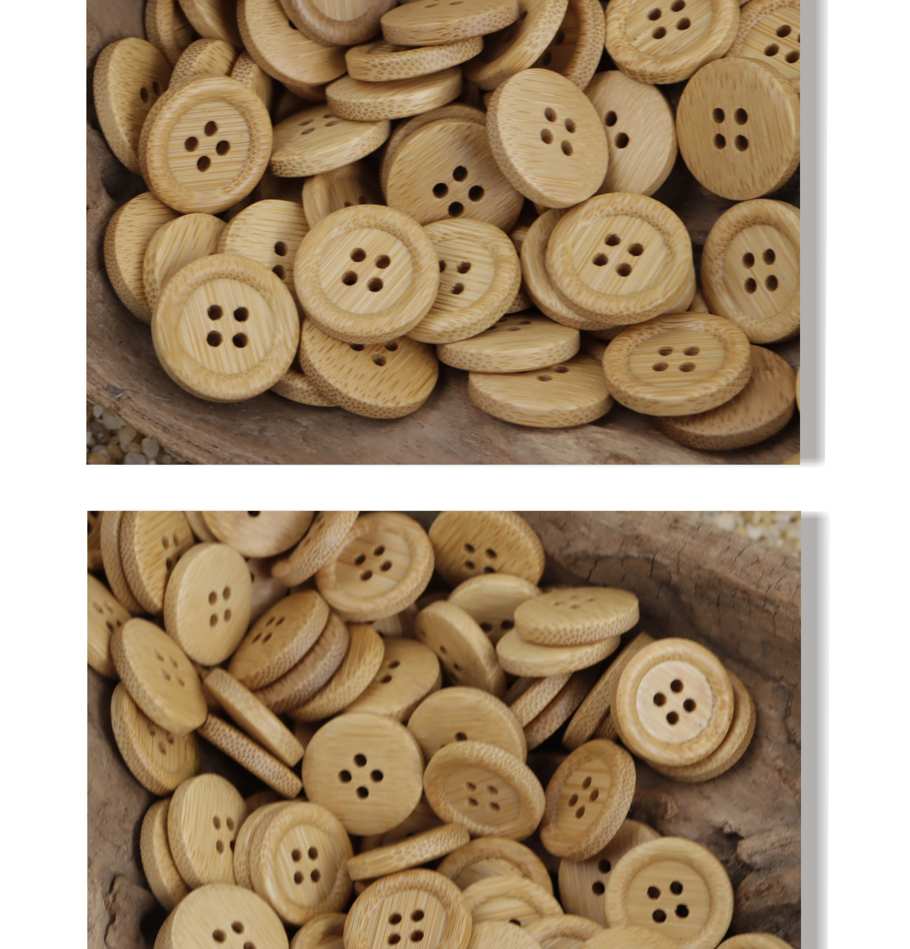 Bamboo_08.jpg