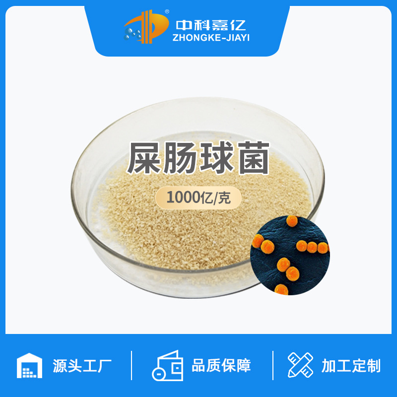 屎肠球菌1000亿 冻干益生菌 乳酸菌粉畜禽养殖猪禽牛羊饲料添加