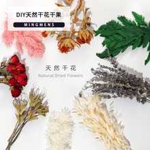 永生花DIY天然干花干果材料尤加利叶薰衣草玫瑰松果创意手工装饰