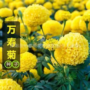 �f�۾շN�����Sɫ�󻨻����������@��·�G�������ͺ��G������