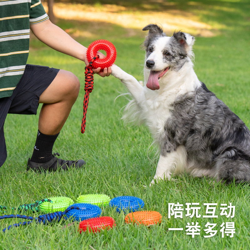 Meianju 国境を越えた噛みつきにくいサウンドと有刺鉄線リング TPR 犬の噛むおもちゃ大型犬の歯のクリーニングと臼歯タイヤ|undefined