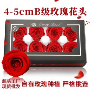 ������õ�廨�^4-5cm8B��diy�߼��г�Ʒ�����Y��ɻ��������l�YƷ