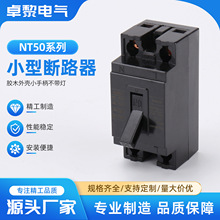 NT50胶木外壳小手柄不带灯小型断路器2P过载保护双断纯铜双金微型