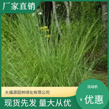 ����ֱ�N ���{�â��/ͥԺ �^�~ �^�� ��������Ҏ���Rȫ