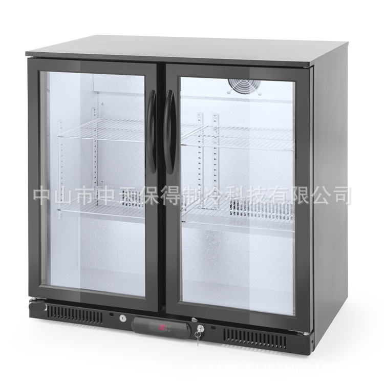 双门酒吧便利店水果展示柜风冷啤酒柜冰箱