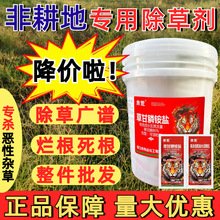 ���l����95%�ߺ����ݸ��׳��ݠ��������������݄��rș�S�ҹ���