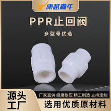 PPR单向止回阀 逆止阀 防倒流逆回阀DN20-32管件配件厂家货源批发