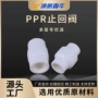 倒流单向dn20-32ppr逆止阀