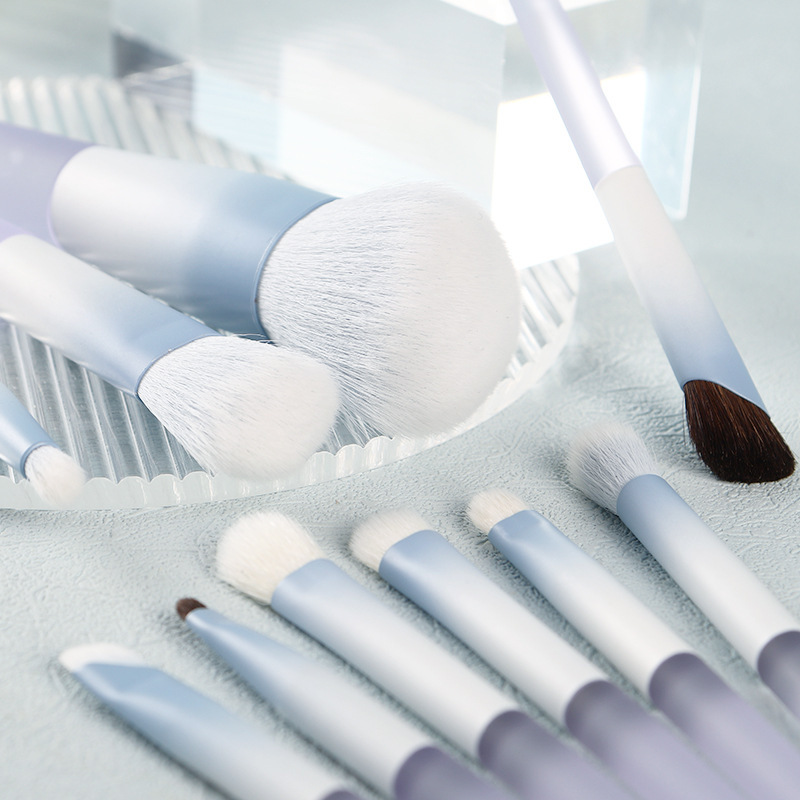 Chen Yuan Yuan lo mismo 10 conjuntos de cepillo de maquillaje blush cepillo de sombra de ojos cepillo de sombra de nariz cepillo de maquillaje un conjunto completo