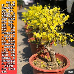 �ͺ��̓�����ӭ���������Ϙ�����ֲ���׻��͕񱱷����첻���Ļ�