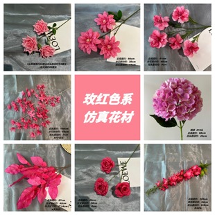 ���滨��c�û��ٻ����ɫϵĵ�������m�����~��¶ɏ��c����