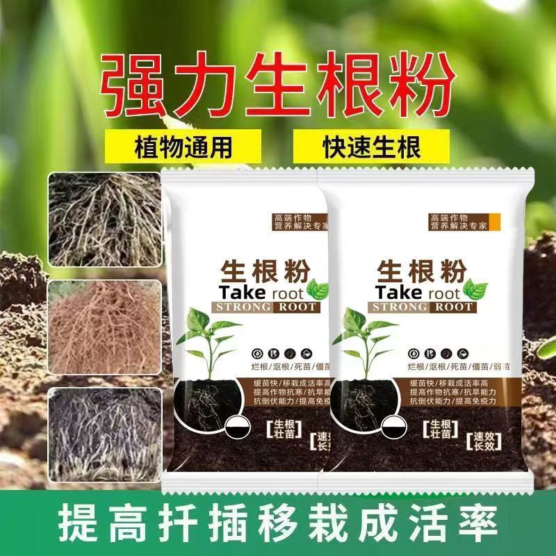 Quick rooting powder plant universal rooting agent for cuttings for…