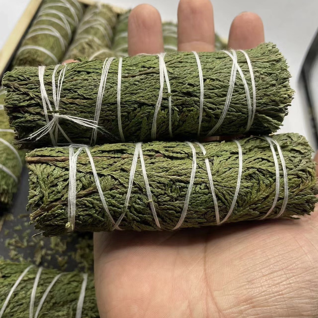 天然の白い鼠の尾の草のアメリカのカリフォルニア州のwhiteageの香薫の杖の雪の松の杖の縛りの空間の卸売りはまたがります。