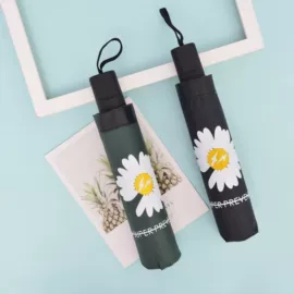 雨伞;晴雨伞;美发梳