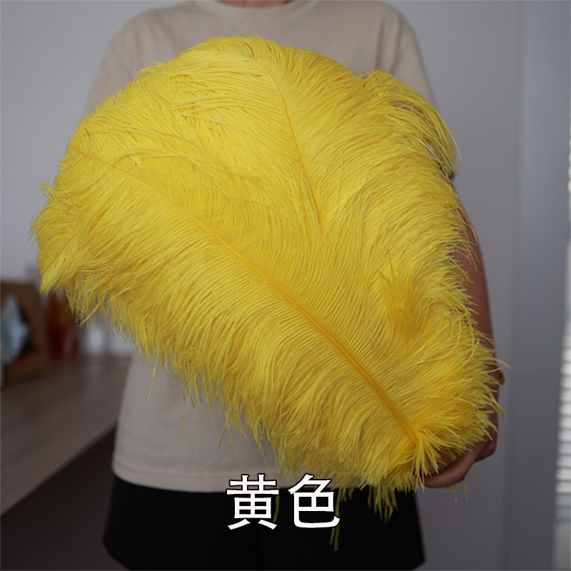 55 - 60cm plumas de avestruz de Sudáfrica al por mayor accesorios de ropa DIY accesorios materiales accesorios de diseño de boda lana de avestruz
