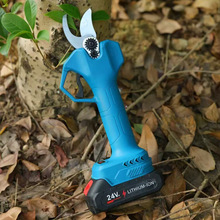 ���ʽ�����@�ֹ�����֦�������늼���֦늼��Ӽ�֦����늄Ӽ���