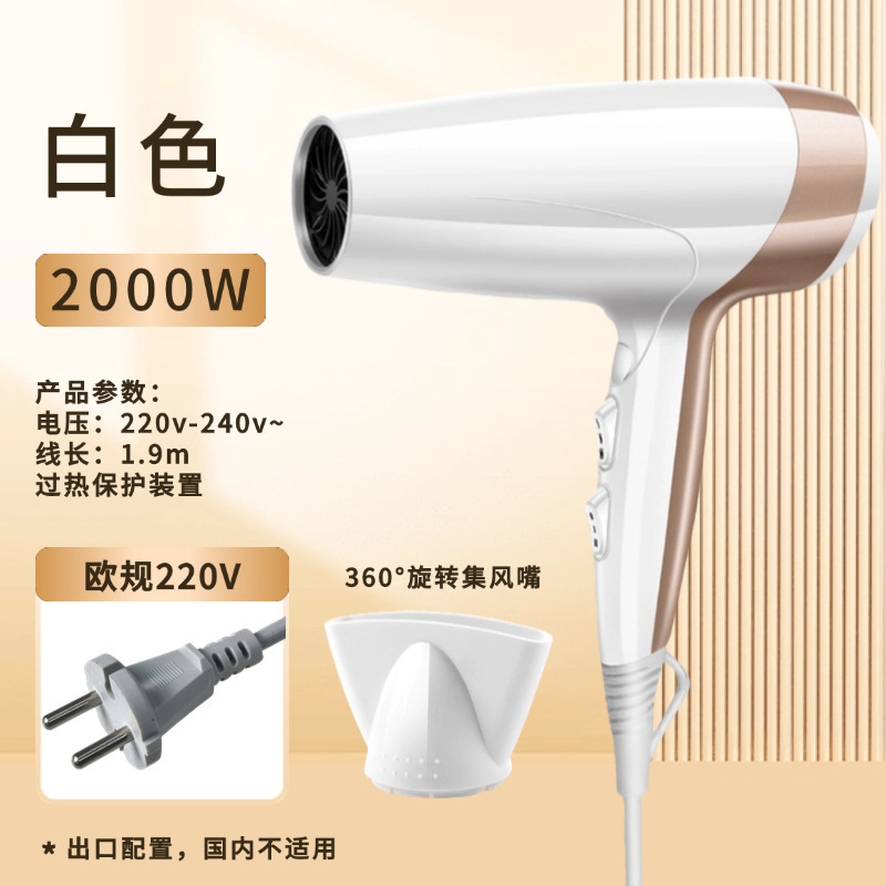 国境を越えたヘアドライヤー家庭用寮冷熱風マイナスイオンネット赤大出力ギャラリー電気ブローメーカー卸売り|undefined