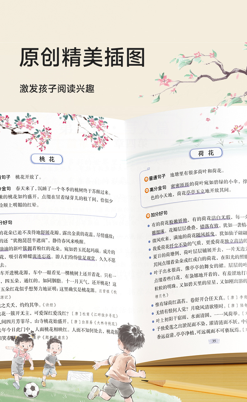 详情图