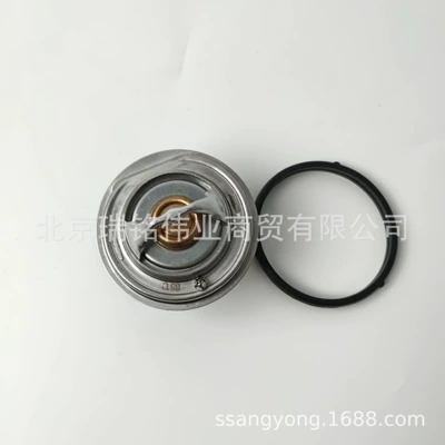 Thermostat for Korean Ssangyong Car