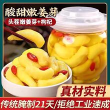 人参枸杞泡姜芽正宗嫩姜芽下饭菜腌咸菜醋泡姜枸杞泡姜芽厂家批发