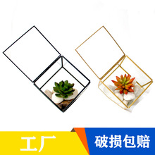工厂现货四方形带盖几何玻璃花房 铜边多肉立方体永生花玻璃花房