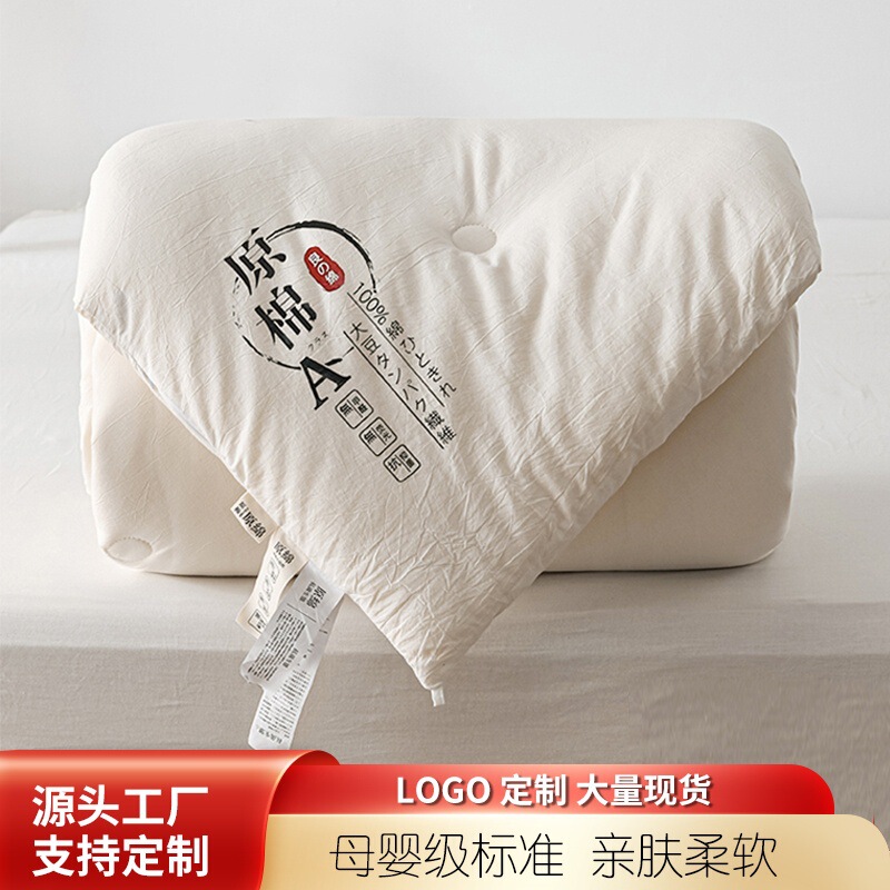 Class a Raw Cotton Soy Fiber Quilt Spring & Fall Dormitory Single and Double Quilt Event Gift Quilt Warm and Thickeneded Winter Quilt