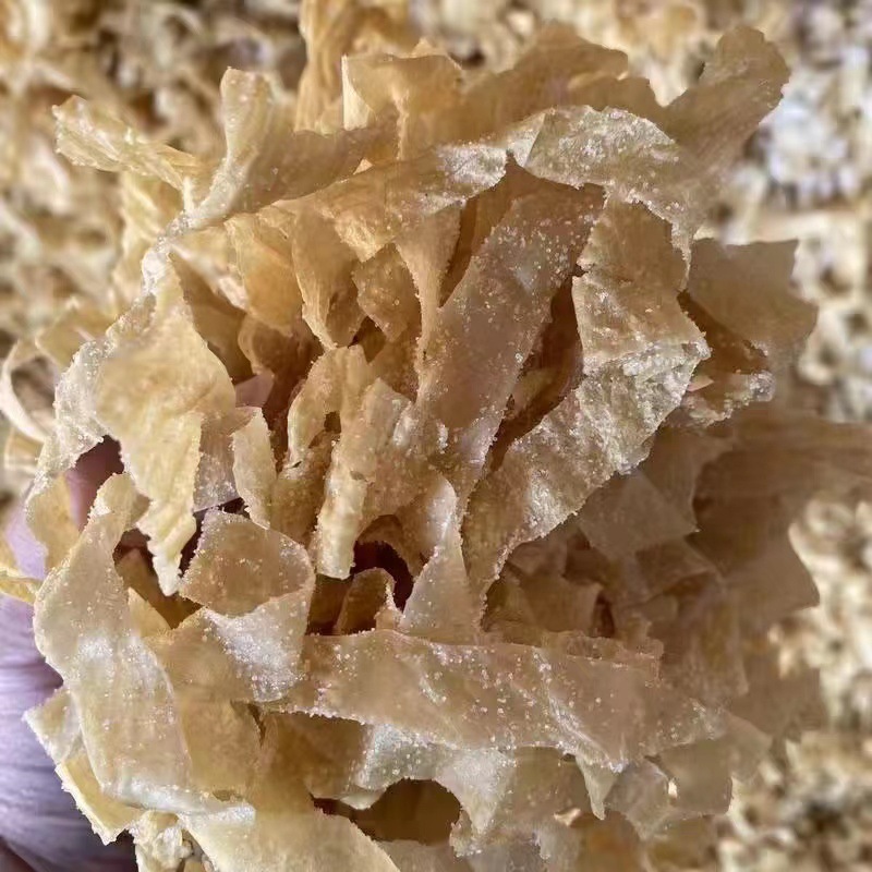 微信图片_20230528095651