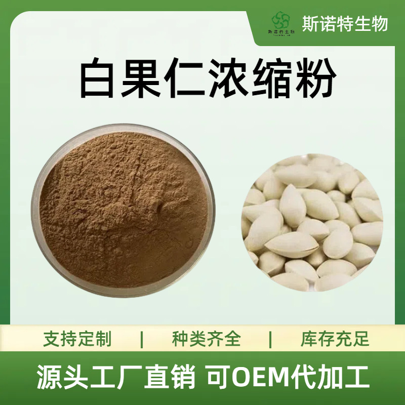 白果仁浓缩浸膏粉提取物水提萃取食品级原料水溶粉斯诺特源头工厂