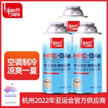 标榜汽车空调雪种HFC-134a制冷剂液装雪种冷媒压缩机正品冷冻油