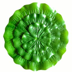 工場直販 模造蓮の葉 骨なし グルーリング加工済み 葉っぱ 冷菜 バーベキュー 麻辣湯 フルーツショップ 装飾飾り