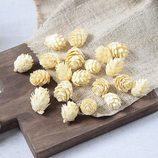 ����ɫС�ɹ���ɭϵ�ɹ����ɻ�����������޹���h�Ʒ�����������