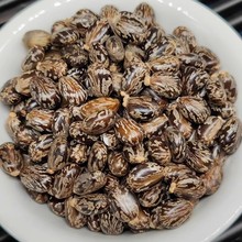 Ұ������ ������Ұɽ�����r��؛500g���]���� �����ѷN�� �t����