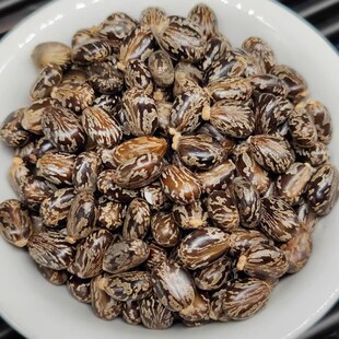 Ұ������ ������Ұɽ�����r��؛500g���]���� �����ѷN�� �t����