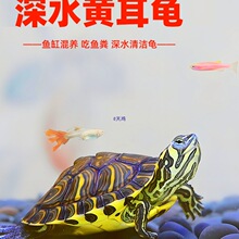 ��ˮ�S�����~�׻��B��ˮС���������m�ϼ��B�ğᎧ��ˮ�^�p�ԼS��