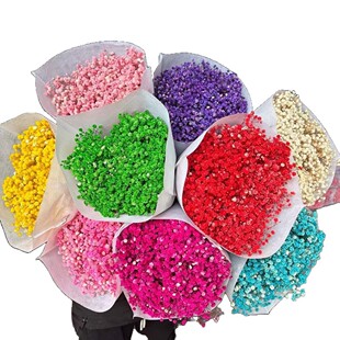 �����M�������l��ϏS��DIY���ϾӼ��b��滨��������ɫ