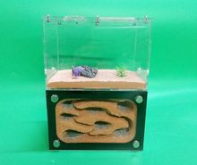 西点部落 蚂蚁巢 蚂蚁工坊 蚂蚁城堡 蚂蚁农场 蚂蚁牧场